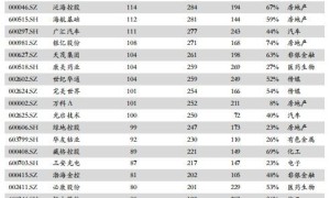 中国式爆仓风险：A股股票质押全解析