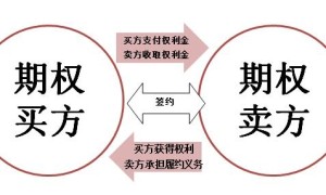 白糖期权解读篇