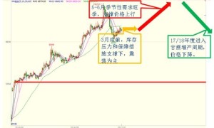 白糖期权实战篇