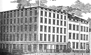 土豆期货操纵案与麦当劳薯条