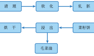 农产品期货之来自番外的小颗粒——菜籽