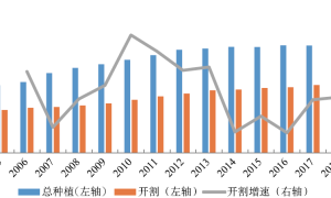 农产品期货之凝珠成线白蛇转——橡胶