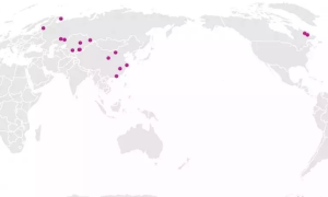 全球各矿产品类最大矿山